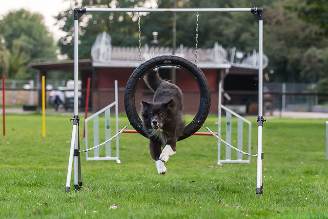 Agility_46